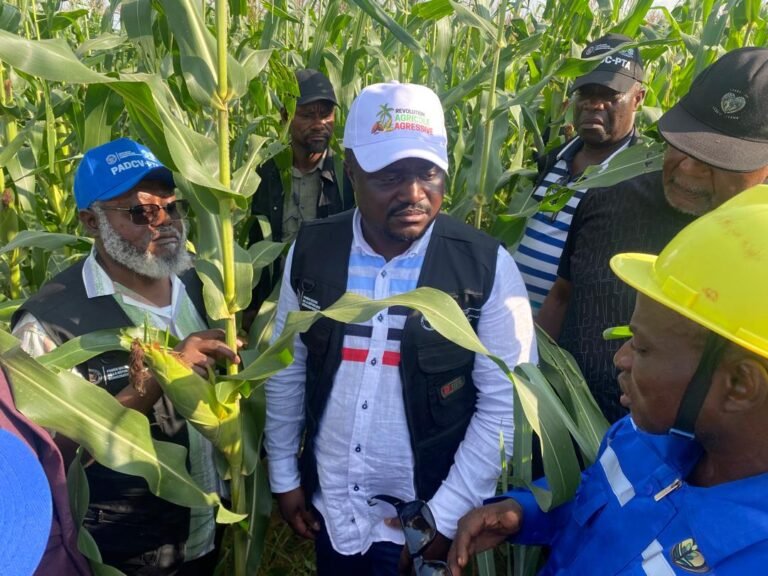 WhatsApp Image 2026-02-17 at 06.33.15 (3)