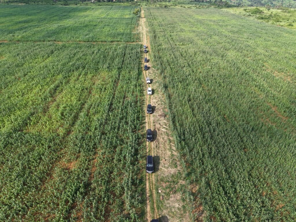 WhatsApp Image 2026-02-17 at 06.44.16 (4)